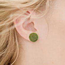 Indlæs billede til gallerivisning Store salviegrønne ørestifter