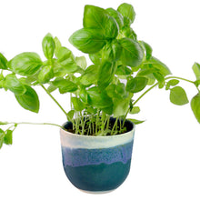 Indlæs billede til gallerivisning urtepotteskjuler i keramik